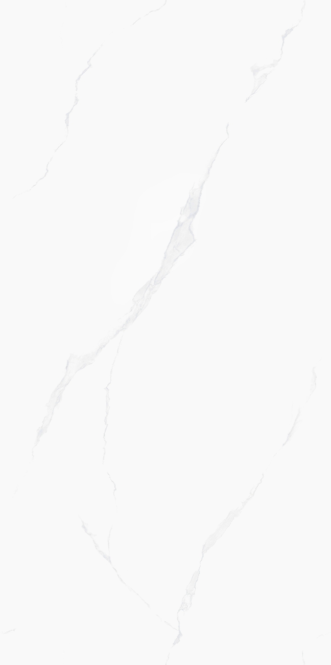 H12Z309
