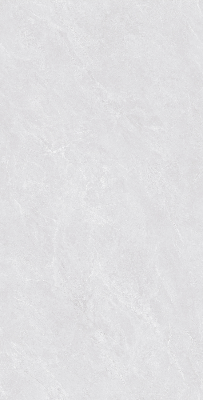 H12Z313-L