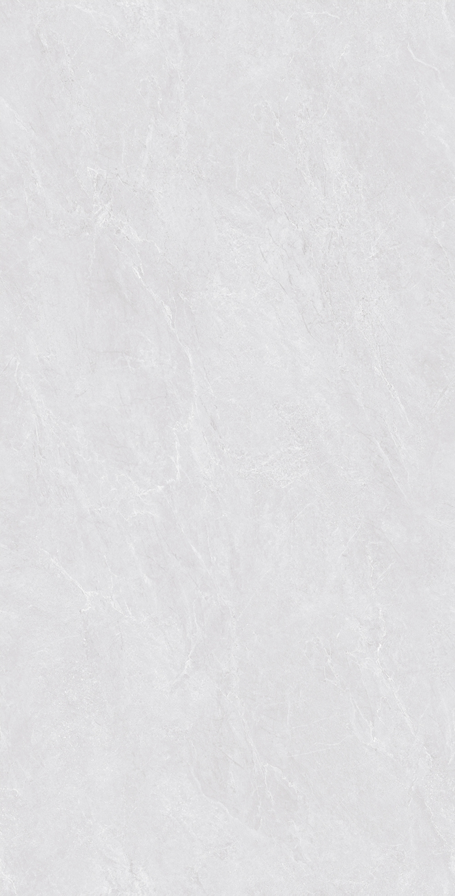 H12Z313-L