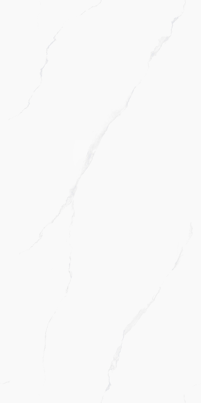 H12Z309